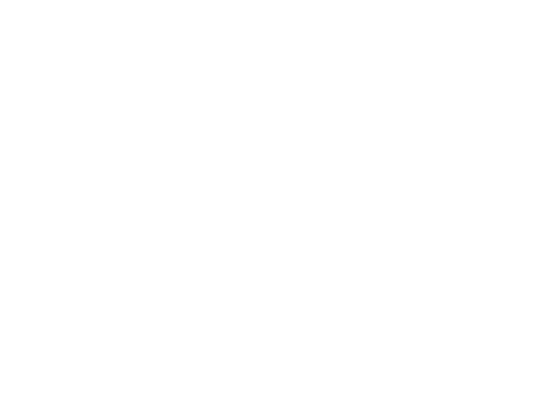 tramcap_lng.webp